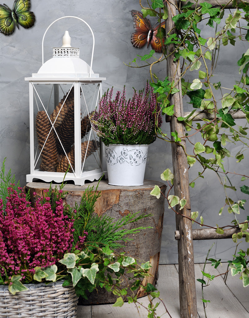 Dekoartikel für Garten, Terrasse und Balkon, Pflanzkübel, Pflanzen, Wanddekoration, Blumen und Windlichter